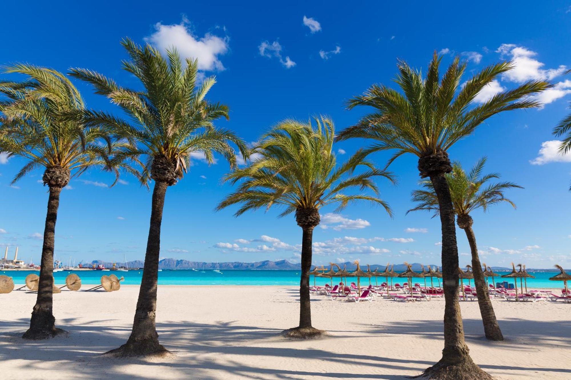 Alcudia Garden Port de Alcudia (Mallorca)